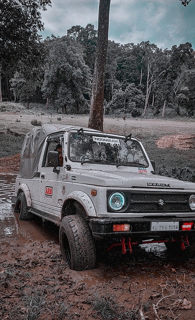 也成为他的 也成为他的